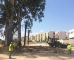 Arrancan las obras del Parque Lineal de Valencia a cargo de Grupo Bertolín